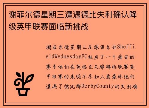 谢菲尔德星期三遭遇德比失利确认降级英甲联赛面临新挑战