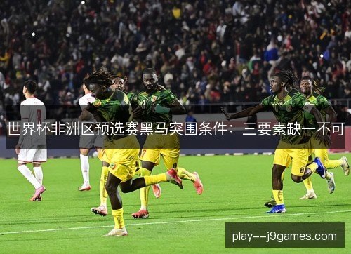 世界杯非洲区预选赛黑马突围条件:三要素缺一不可 世界杯非洲区预选赛黑马突围条件:三要素缺一不可